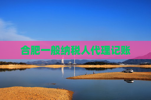 合肥一般纳税人代理记账 合肥一般纳税人代理记账